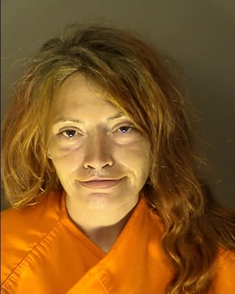 Booking photo of Erica Creech