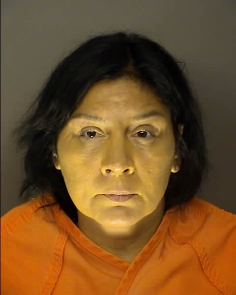 Booking photo of Robyn Crowley
