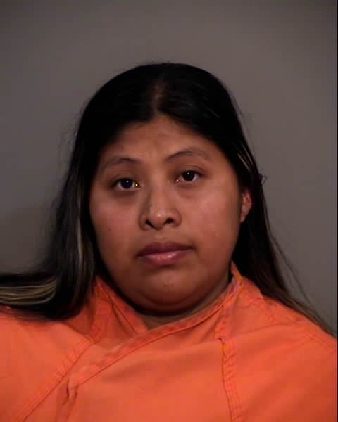 Booking photo of Lesvia Segura Perez