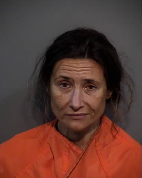 Booking photo of Yelena Ostrovskaya