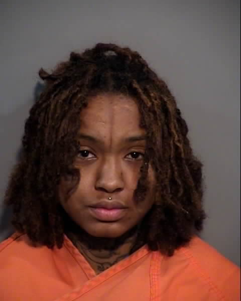 Booking photo of Journey Landis
