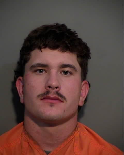 Booking photo of Addison Faust