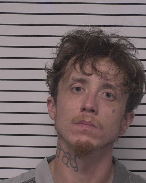 Booking photo of Bradlee Farmer