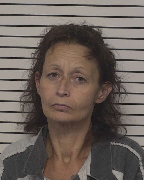 Booking photo of Lisa Paularena