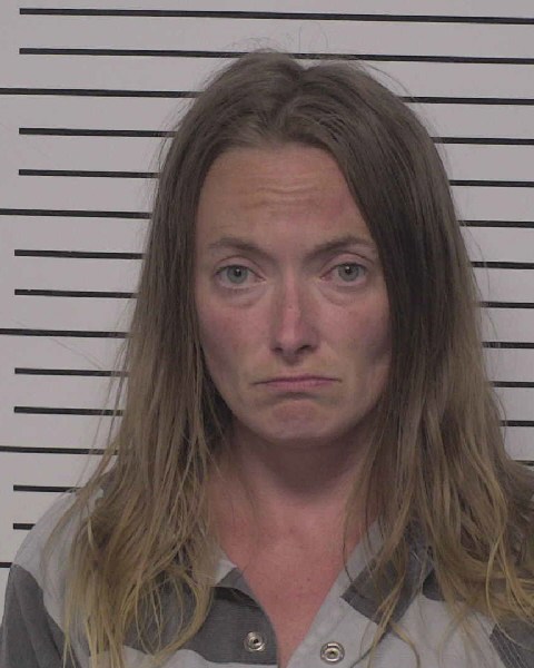 Booking photo of Meagan Johnston