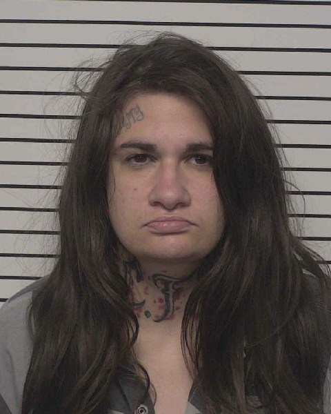Booking photo of Arlena Ritchie