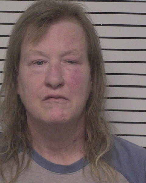 Booking photo of Kimberly Engelson