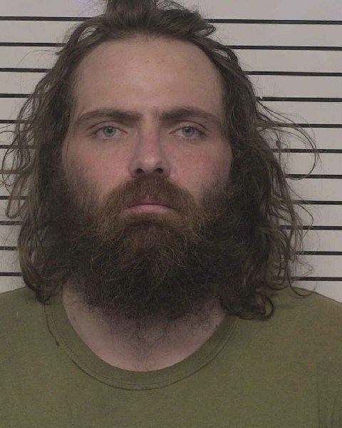 Wayne Owens booking photo