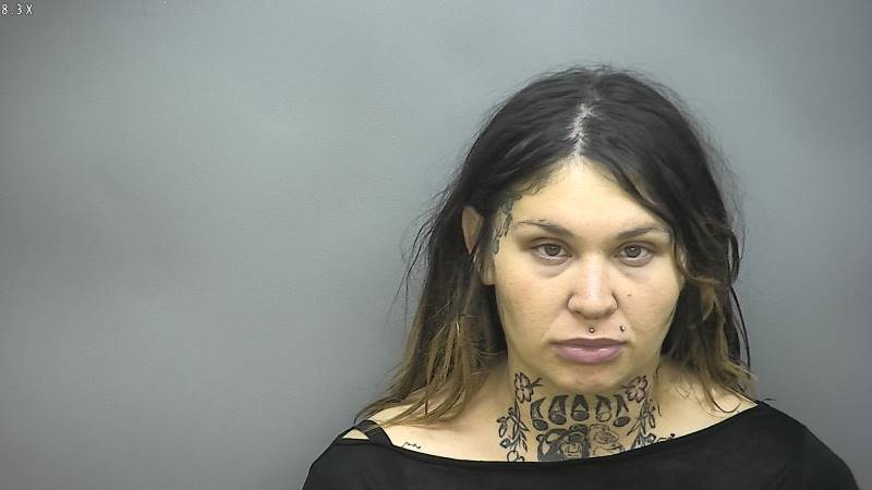 Booking photo of Alexandra Pelcher