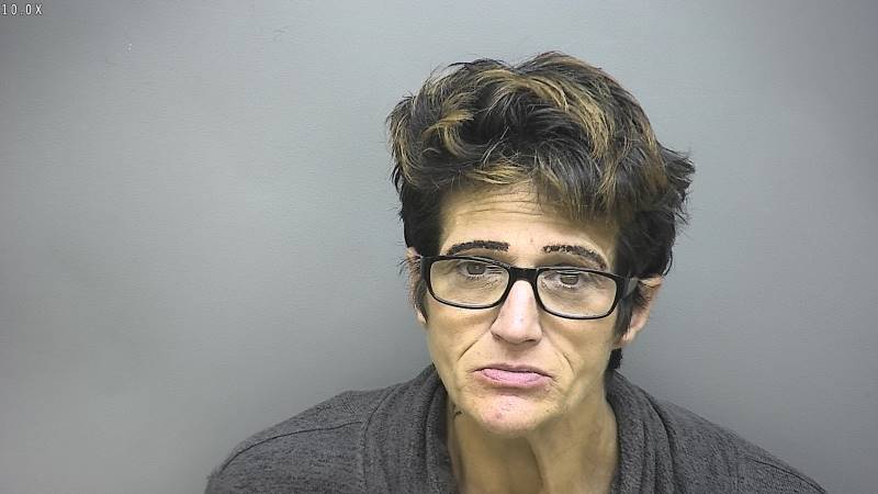 Booking photo of Nicole Soper