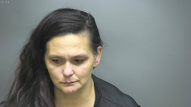 Booking photo of Megan Hoult