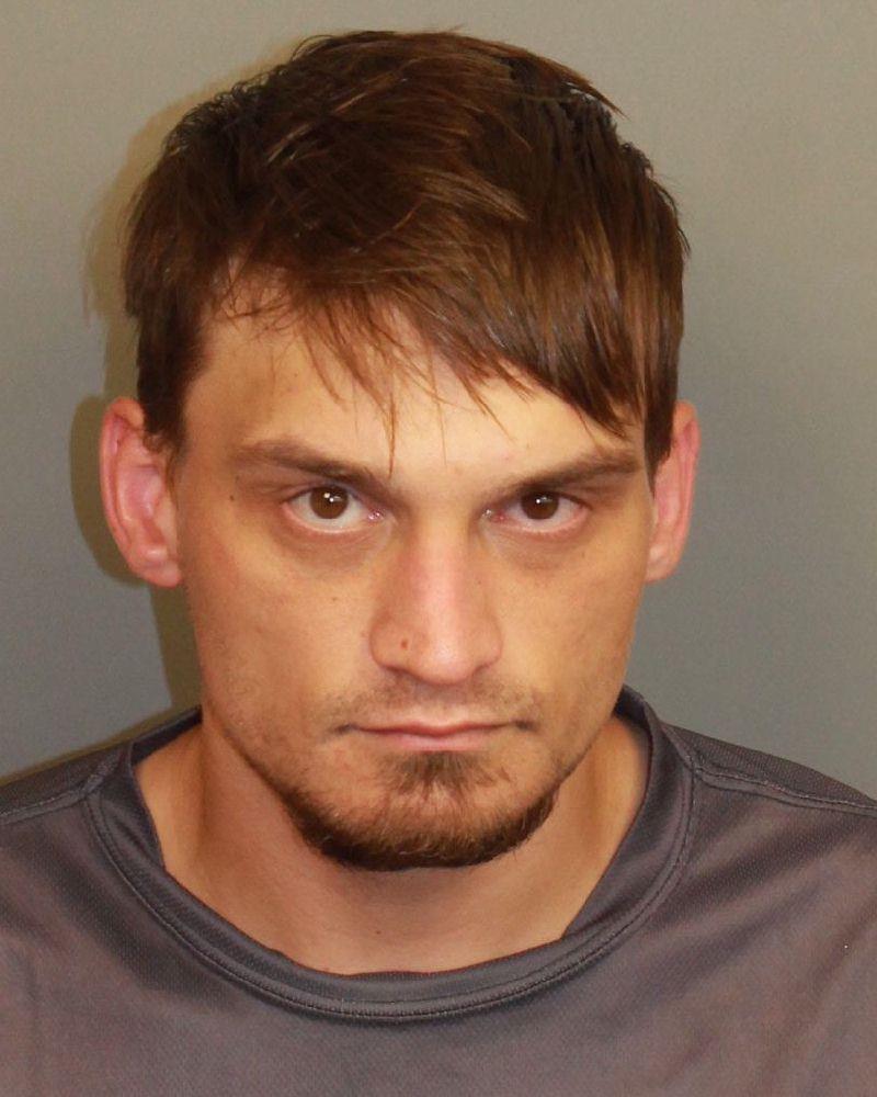 Booking photo of Dalton Davis