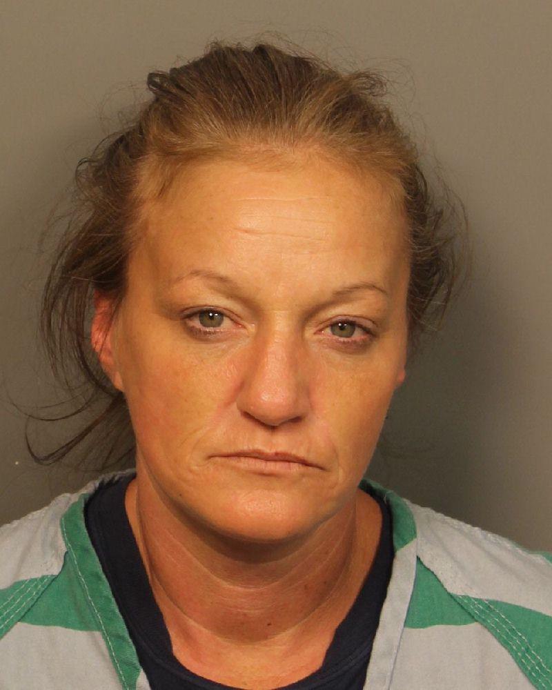 Tricia Hoggatt booking photo