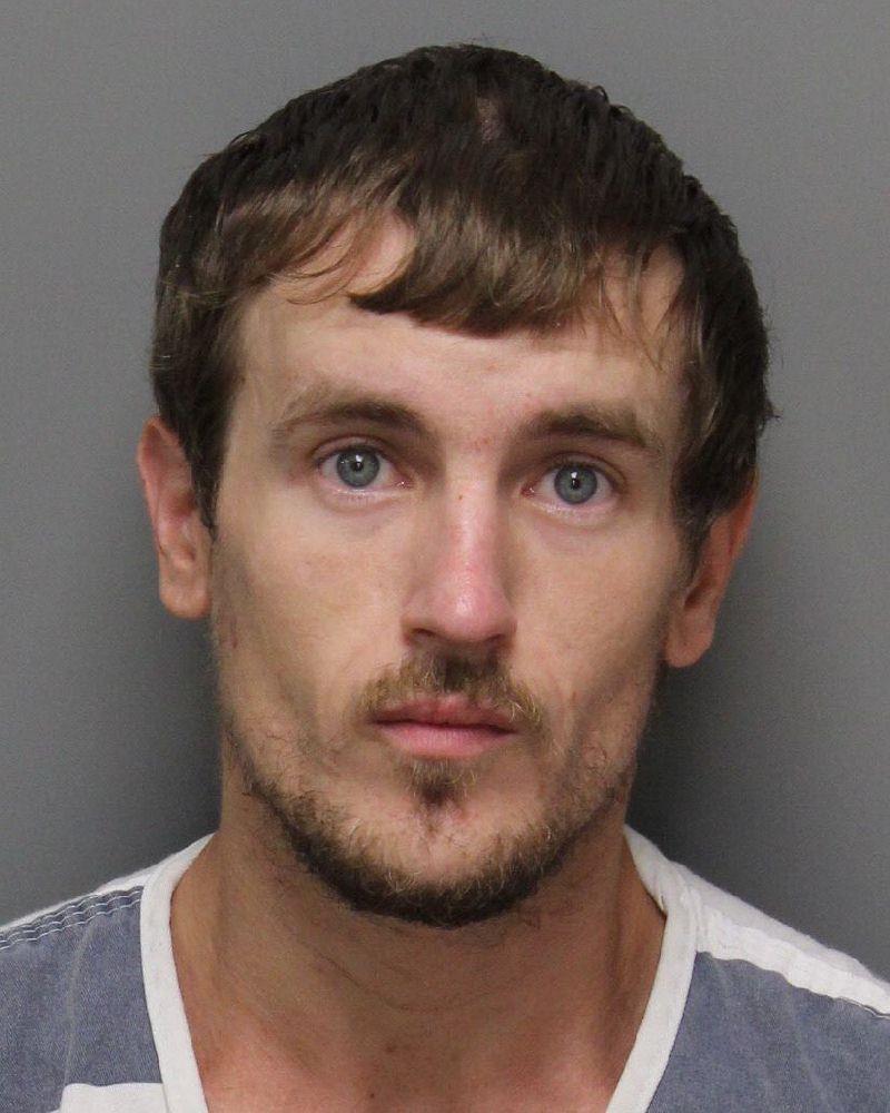 Booking photo of William Bice