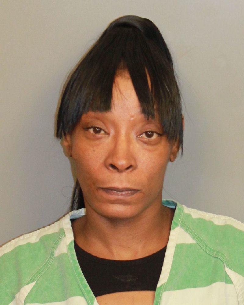 Booking photo of Brittany Lane