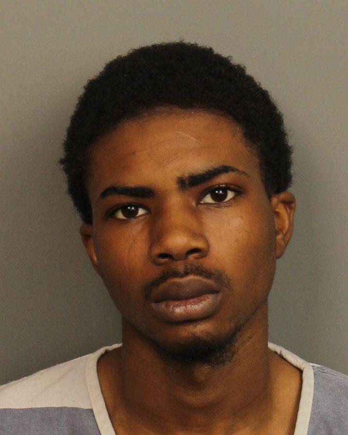 David Young booking photo