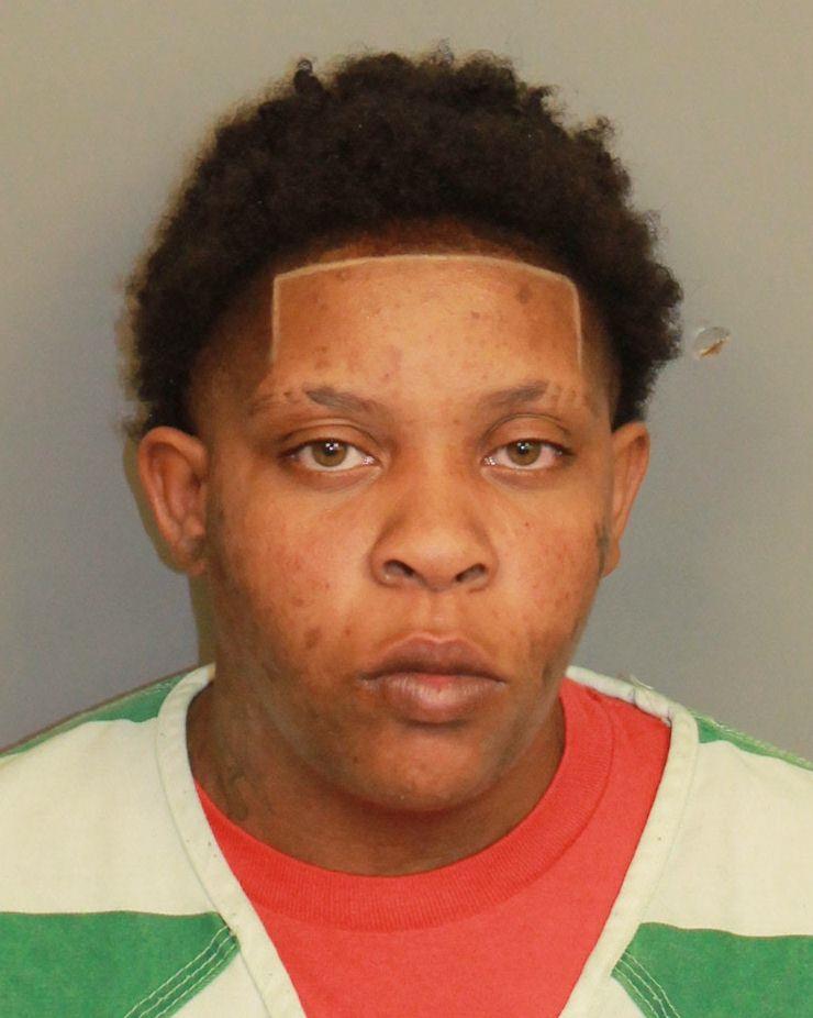 Booking photo of Camille Hamler