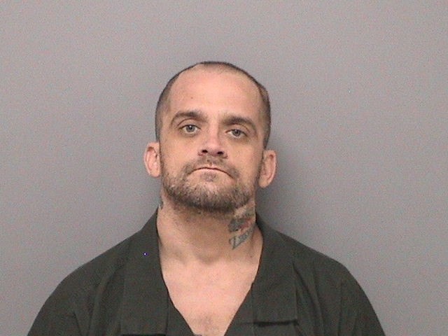 Booking photo of Tristan Scott Schulz