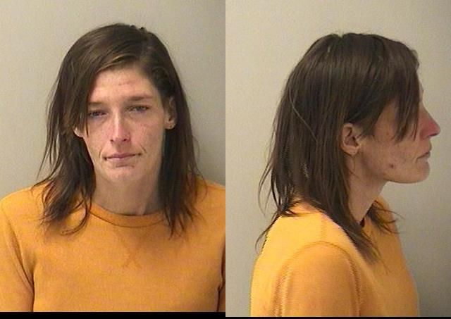 Booking photo of Alexa Rose Komadina
