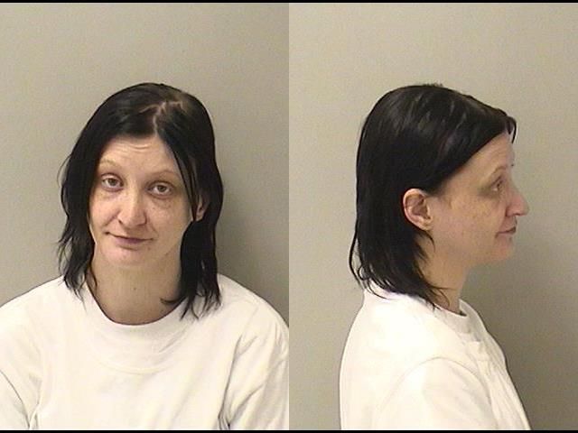 Booking photo of Allison M Sautter