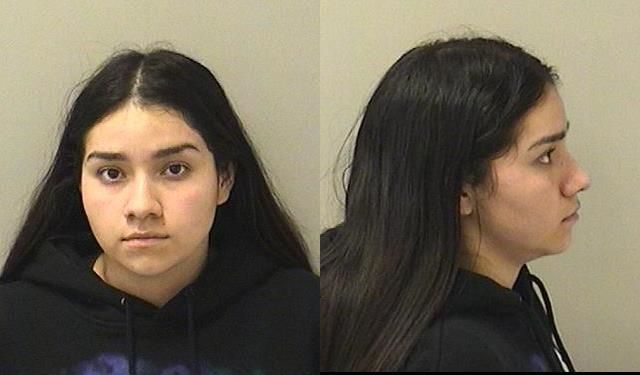 Booking photo of Cisneros Katie Chavez