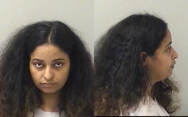 Amreen Rai Amreen Mumtaz Sheikh Mugshot & Arrest Record — Kane County, IL