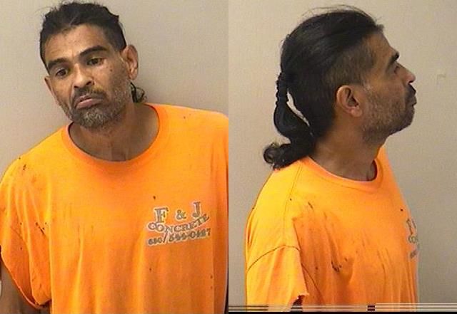 Amreen Rai Amreen Mumtaz Sheikh Mugshot & Arrest Record — Kane County, IL