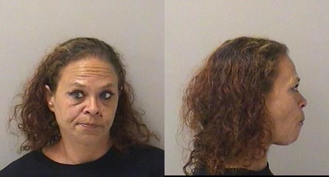 Booking photo of Jamie Sue Scribner