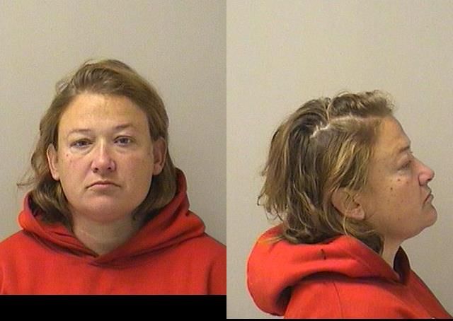Booking photo of Cynthia J Meyers