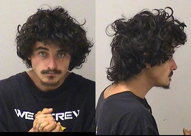 Booking photo of Mark G Vicicondi