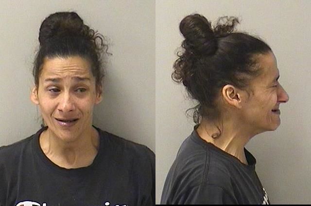 Booking photo of Karen M Poss