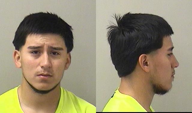 Booking photo of Alexis R Cenicedos-ortega