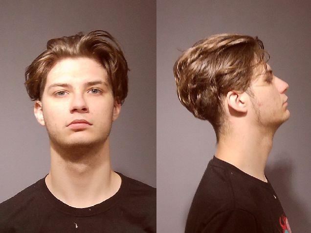 Booking photo of Devin Pokosa