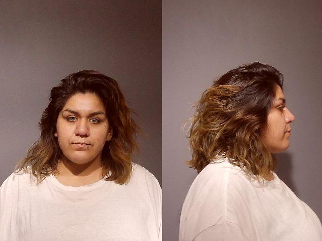 Anabel Lazcano booking photo