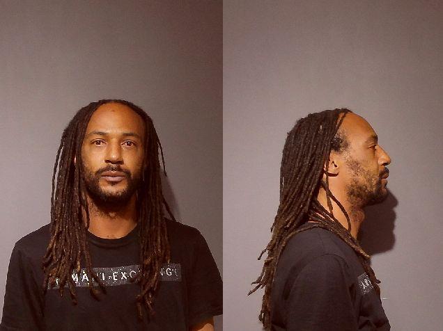 Booking photo of Trevis Logan
