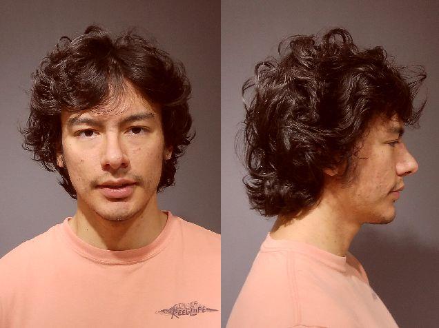 Booking photo of Ron Offen