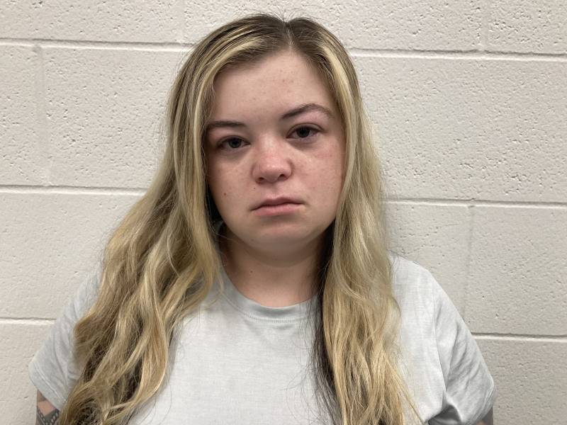 Booking photo of Danielle Taylor
