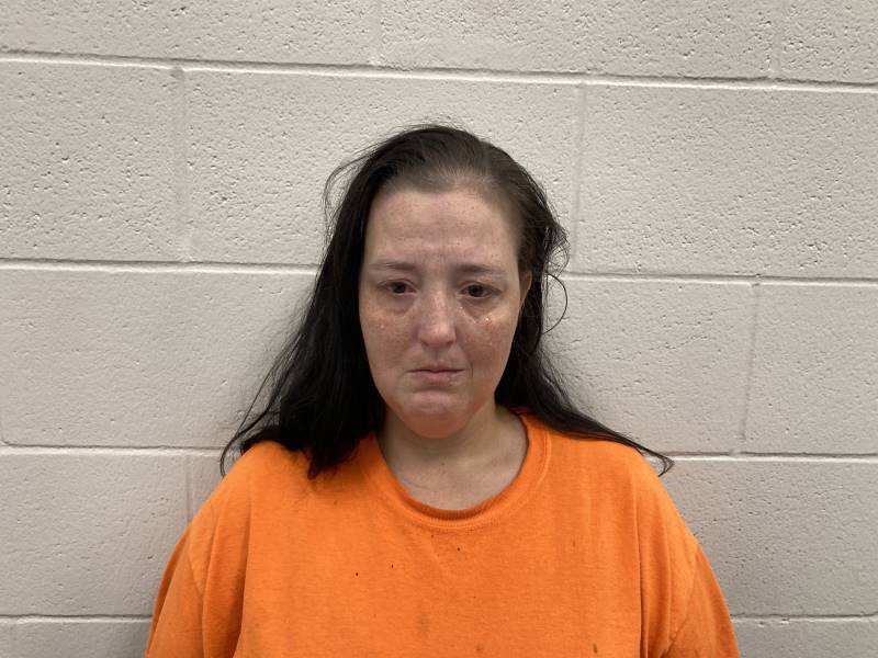Booking photo of Stephanie Hicks