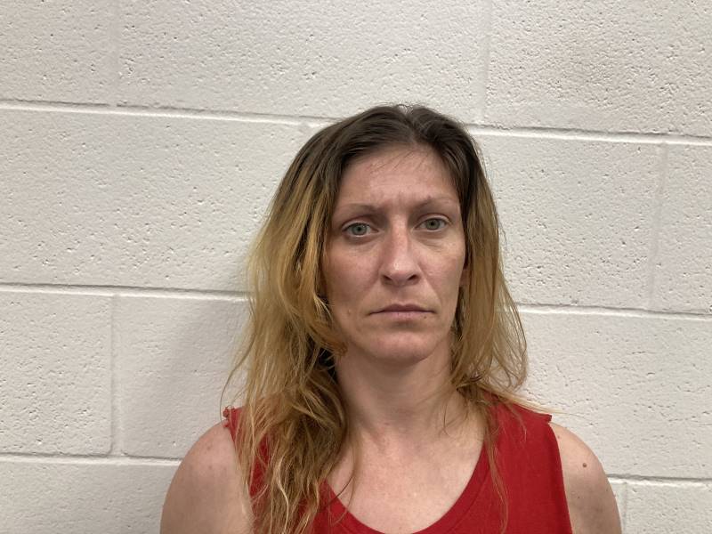 Booking photo of Destaney Hubbard