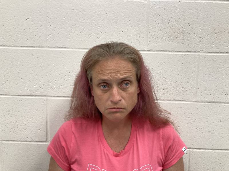 Booking photo of Chasity Sullivan