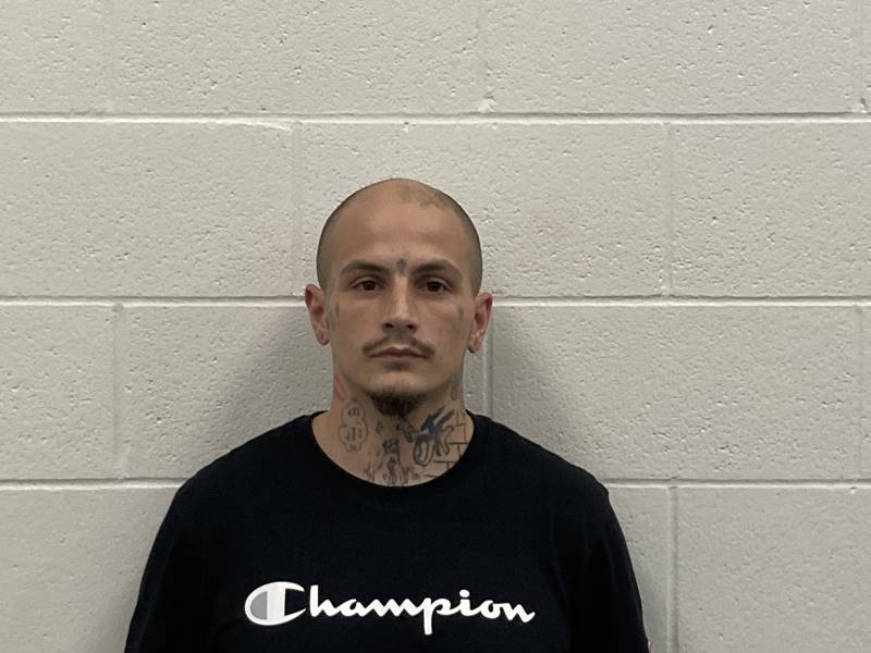 Booking photo of Baylee Reynolds