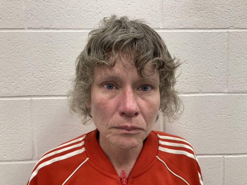 Booking photo of Linda Green