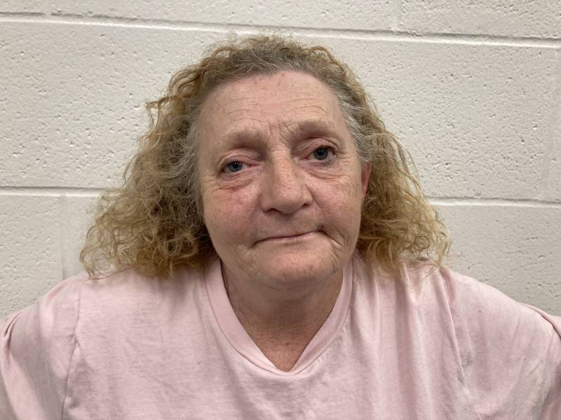 Booking photo of Donna Roberts