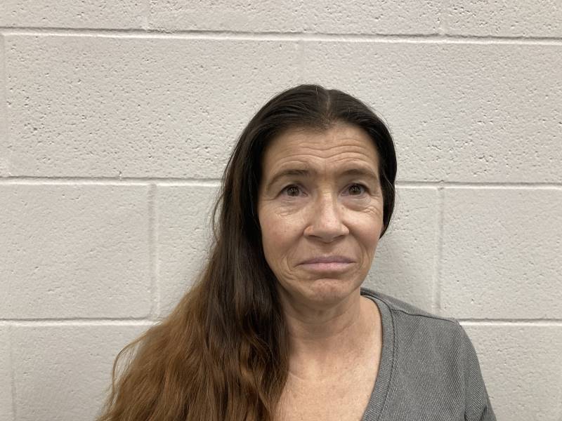 Booking photo of Angel Knipp