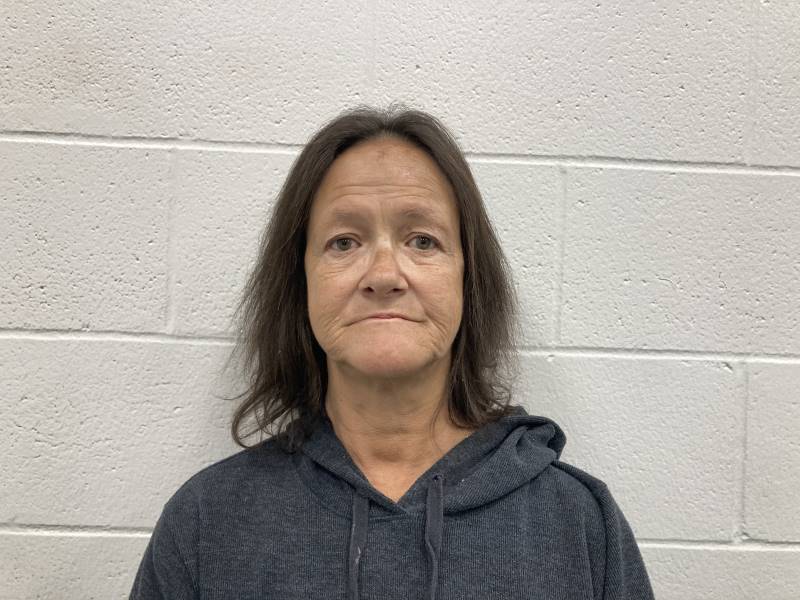 Booking photo of Lisa West