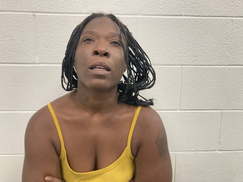 Booking photo of Jasmine Sims