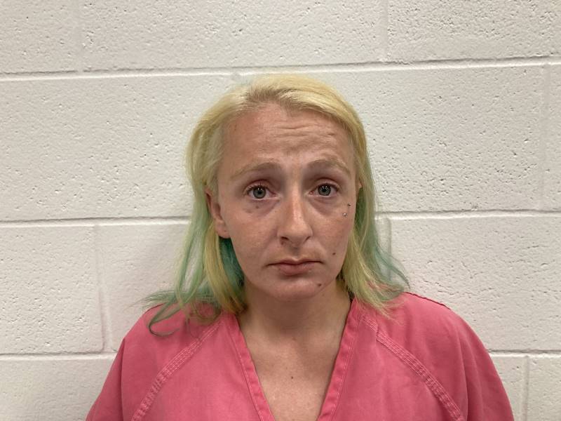 Booking photo of Brittany Jenkins
