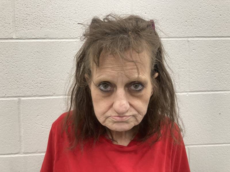 Booking photo of Jodie Barnett
