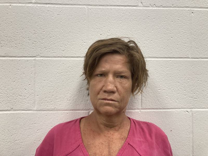 Booking photo of Heather Drews