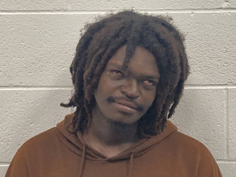 Booking photo of Louis Martin